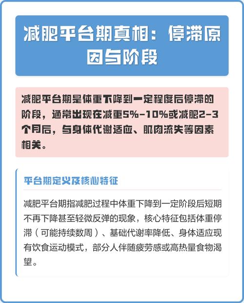 为什么减肥过程中会出现难以突破的停滞期呢？