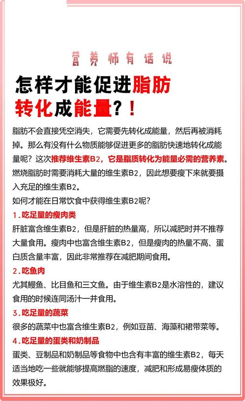如何有效促进体内脂肪转化为嫩量？