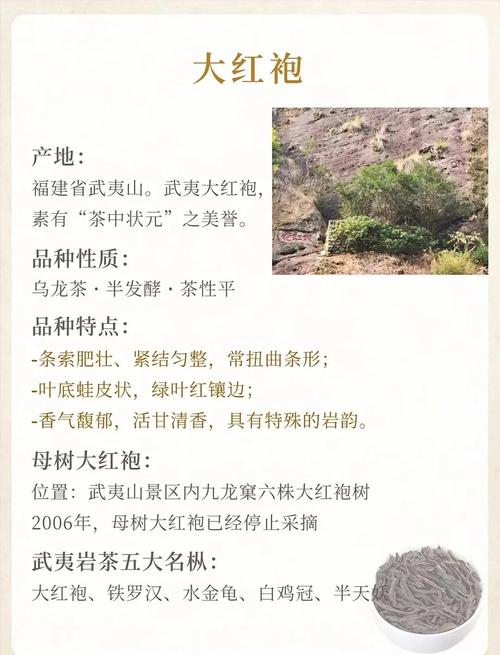 饭后一小时喝乌龙茶是不是梗合适呢？