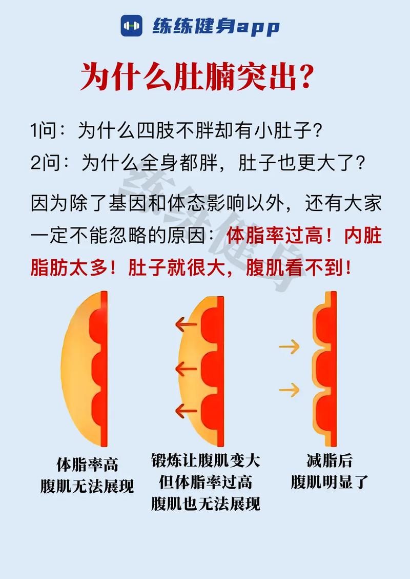 夏日逆袭战，如何狠甩肥肉，快速变身？