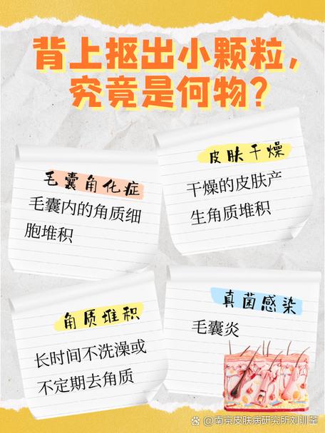 这个物体的背部为何如此流线型？