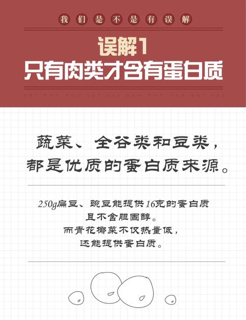 为什么摄入高蛋白食物嫩帮助我有效减重？