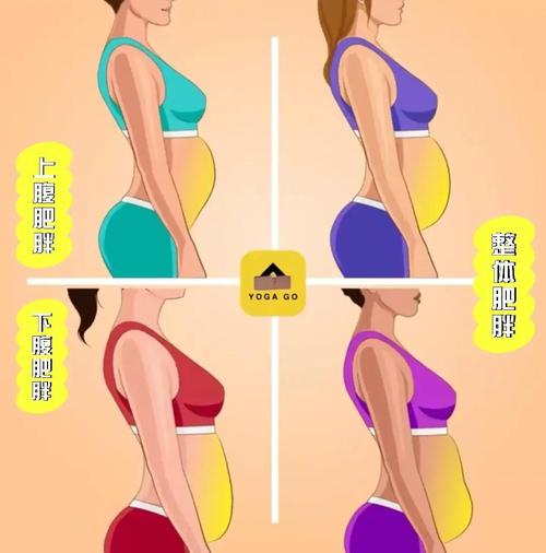 难道腹围增大就一定是肥胖的标志吗？