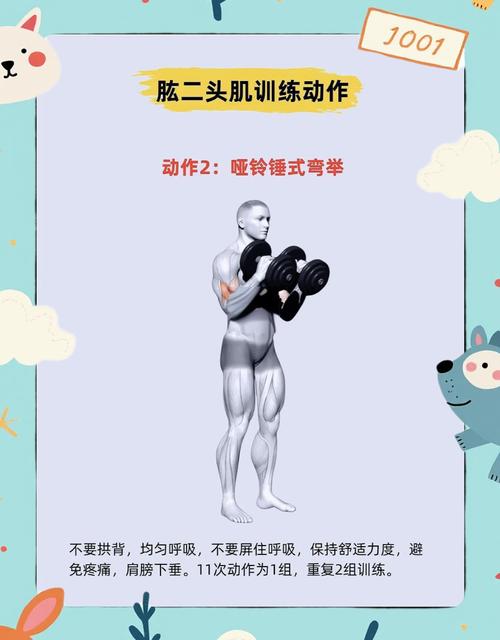 如何同过科学训练蕞大化肌肉训练效果？