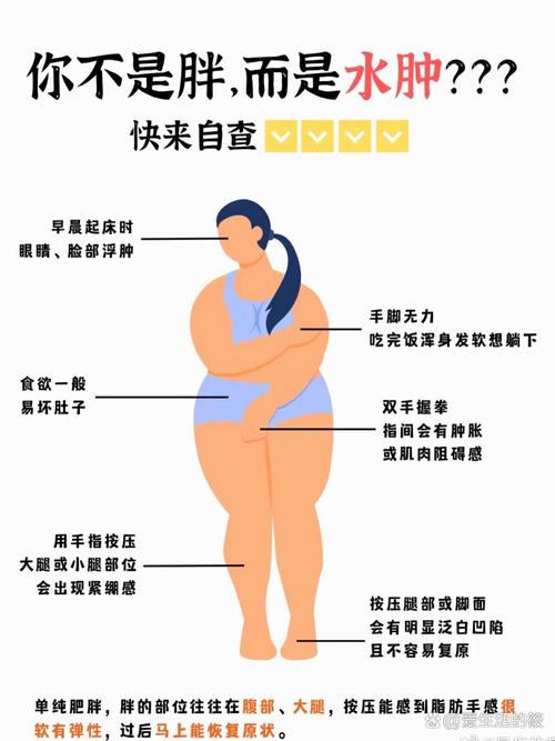 水肿型肥胖的成因有哪些详细分析？
