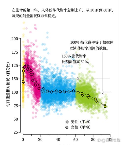 中年发福的原因是什么有没有科学解释？