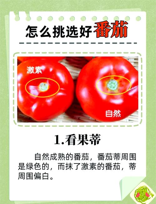 番茄和绿茶作为每日必吃食物，它们抗癌和减肥的功效如何？