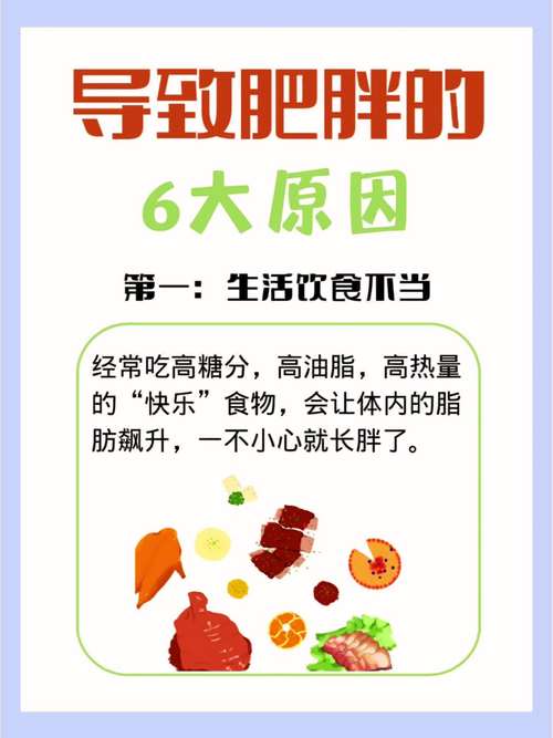 饮食与肥胖之间是否存在某种必然联系？