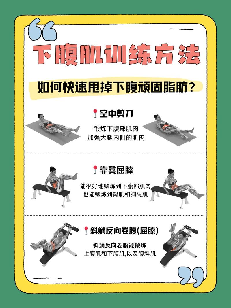 如何将腹部脂肪有效转化为腹部肌肉？