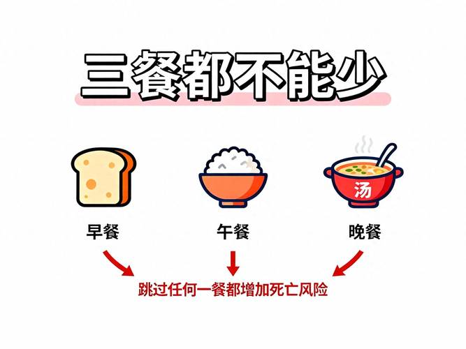 专家建议：午餐后是否应该避免进食，直到晚餐？