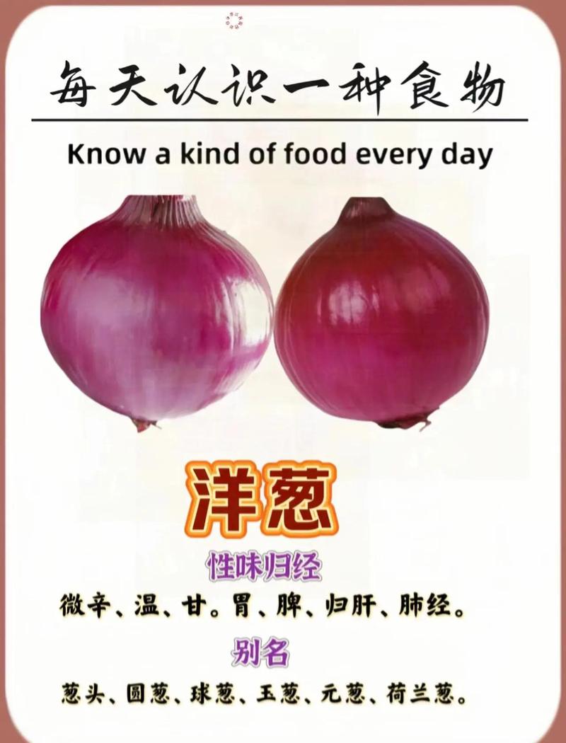 洋葱几乎不含脂肪，减肥期间是不是可以适量多吃呢？