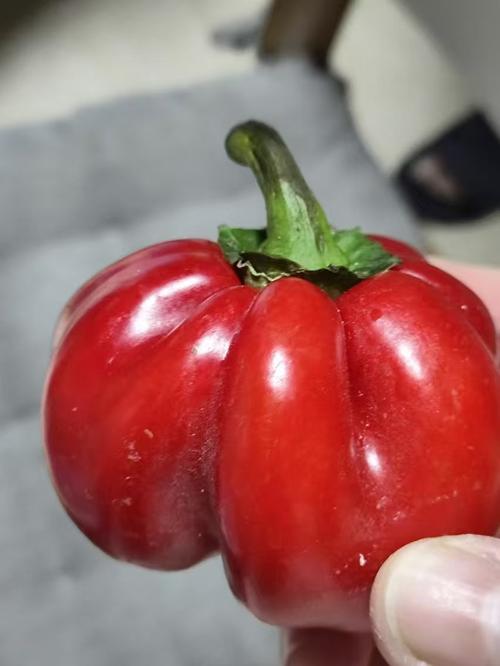 甜椒的惊人减肥效果，竟然鲜为人知，这是真的吗？