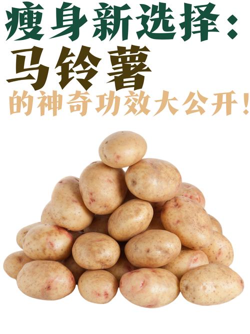 运动后应该选择哪种减肥蔬菜，马铃薯适合吗？