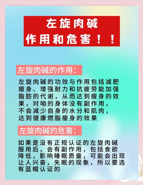 左旋肉碱是什么？它真的能帮助减肥吗？