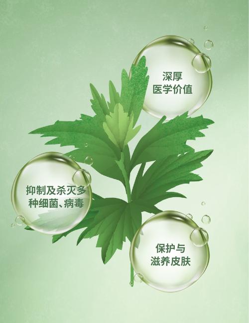 绿色医学减肥法，平衡针灸如何打造健康减肥效果？