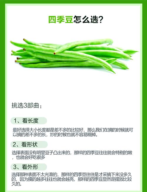 为什么春季吃这三种豆比吃肉更健康呢？
