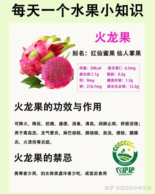 火龙果中哪些成分有助于减肥，具体作用原理是什么？