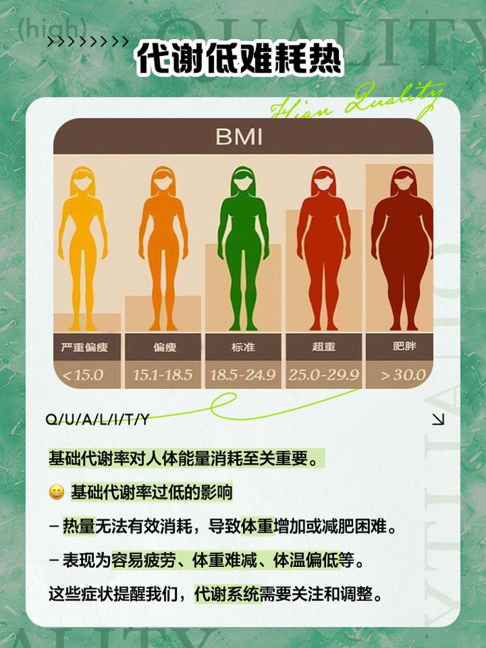 为什么摄入不足三种维生素，我还是瘦不下来呢？