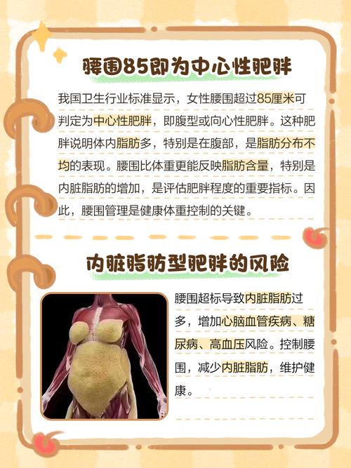 为什么中国人的腰围增长速度如此之快？