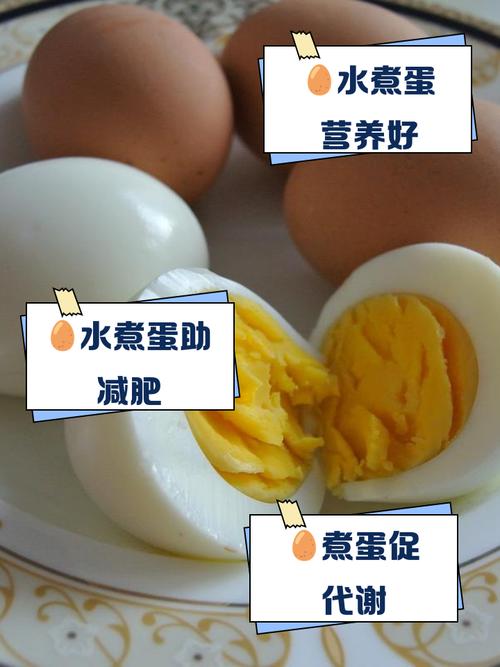 5日水煮蛋减肥法真的健康又快速吗？它能让我暴瘦不止吗？
