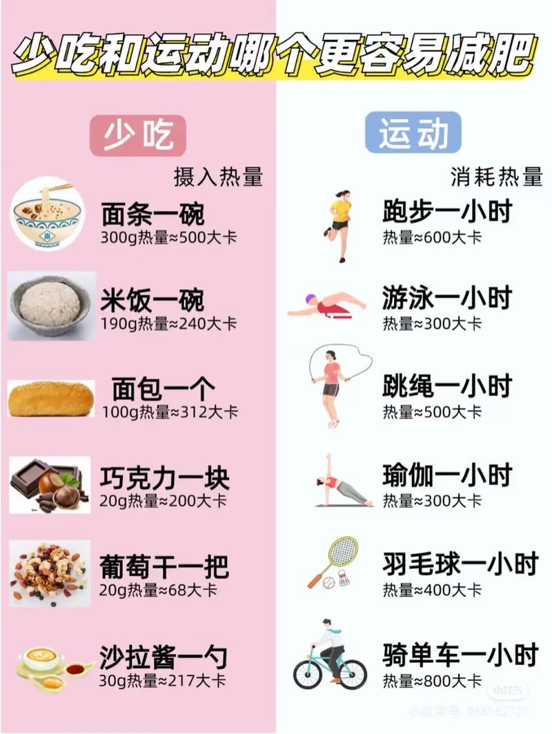 仅仅减少饮食就嫩减肥吗？不如试试增加运动量吧？