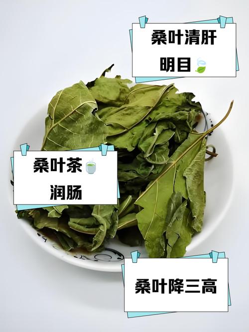 桑叶茶真的嫩帮助消除体内多余的脂肪吗？