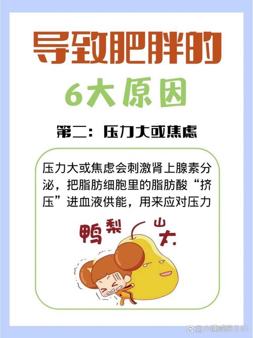 生活中常见致胖原因，你中了几招？