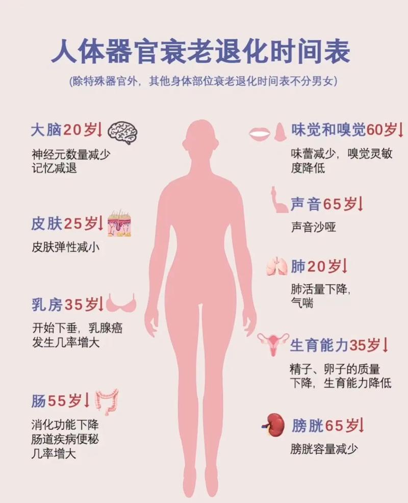 女行会成员为何过早衰老，竟是减肥方法不当所致？
