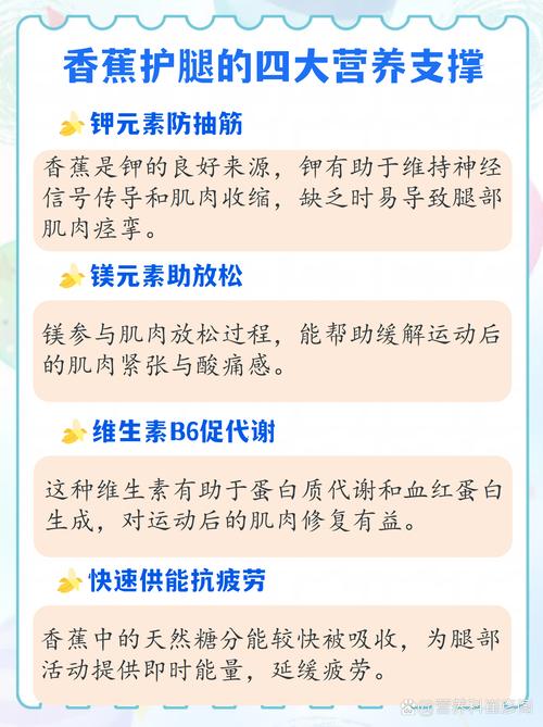 有哪些日常养生食物可以替代香蕉护腿？