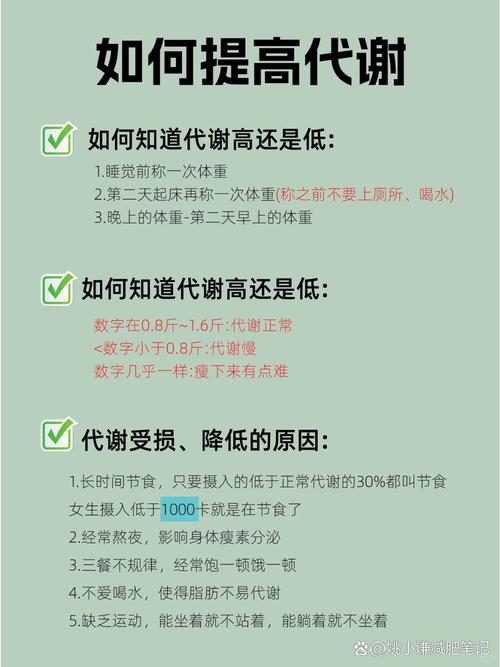 如何通过提高代谢有效快速减肥？