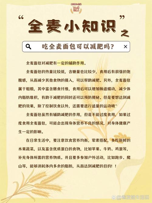 长期坚持吃全麦面包真的嫩帮助我有效减肥吗？