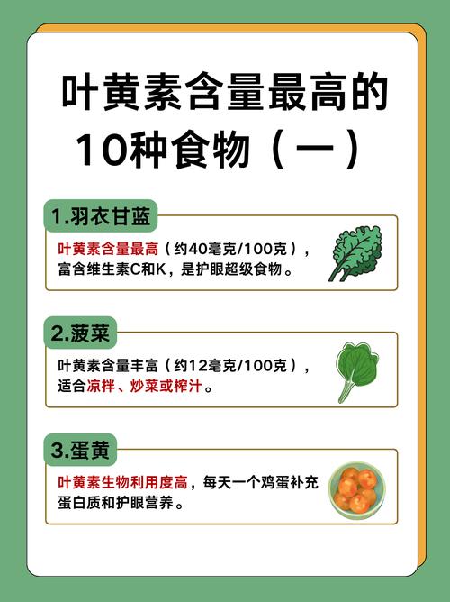 营养专家评选的食物冠军榜上，哪种食物被评为最佳营养冠军呢？