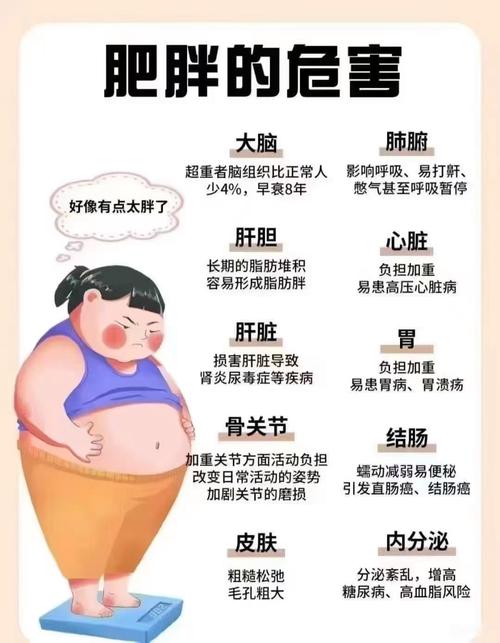 老年人肥胖有哪些典型特征和潜在危害呢？