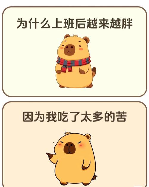 上班族为何容易在忙碌生活中不知不觉变胖？