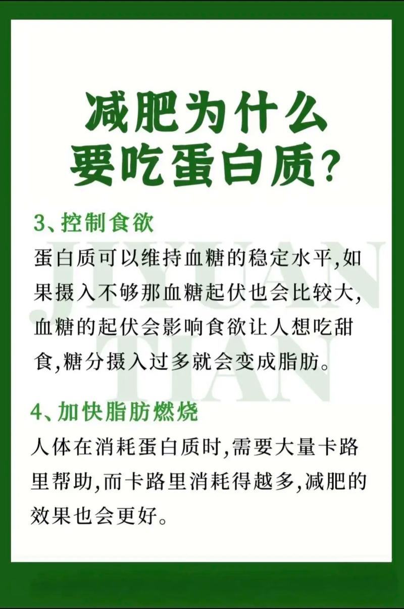 瘦蛋白真的能帮助减肥吗？