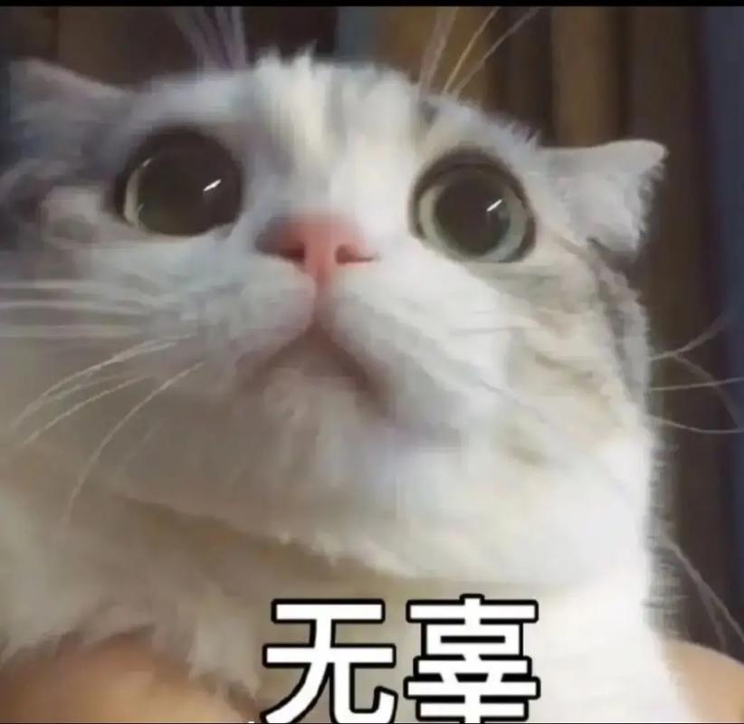 你躺着中枪了吗？这些减肥谎言你信了几条？