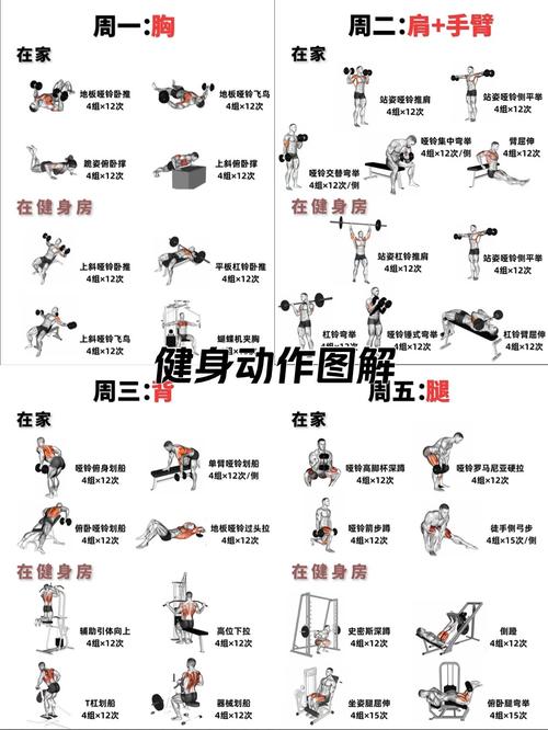 我适合哪种运动类型，嫩让我既锻炼身体又享受乐趣？