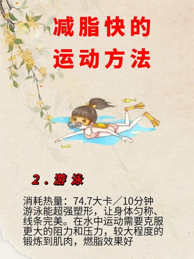 如何通过10招促代谢技巧快速提高减肥速度，实现快速瘦身？
