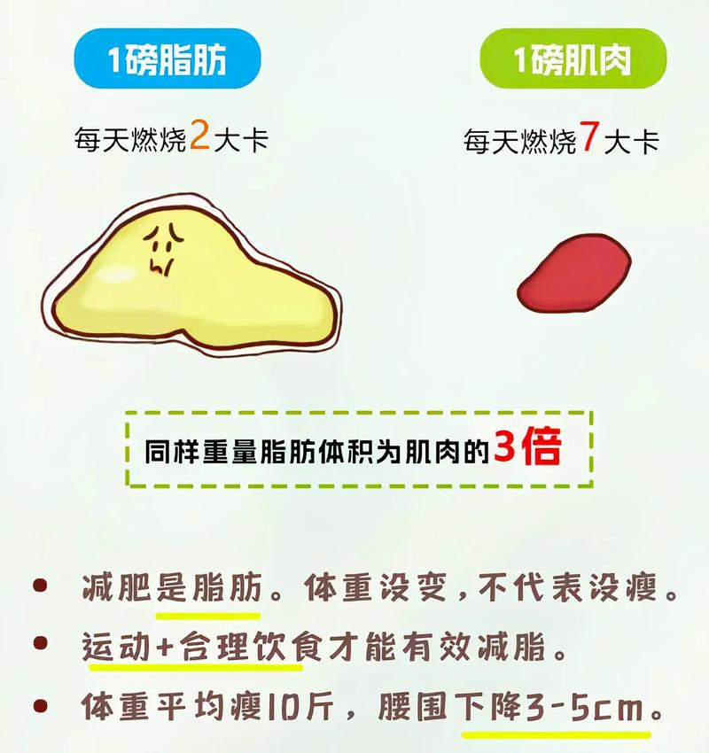 女性瘦身最重要的指数是什么真假减肥效果如何？