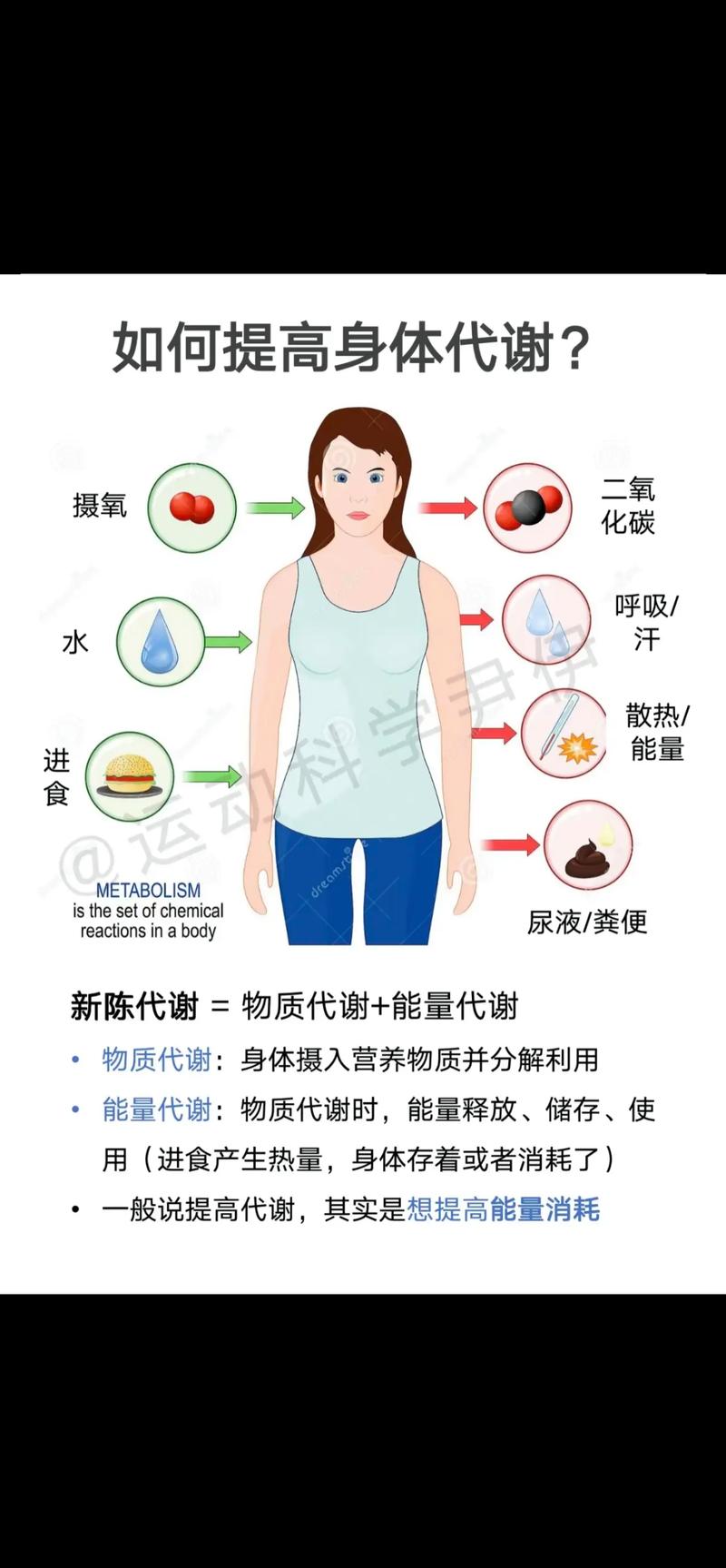 有哪些运动方式可依用来有效提高基础代谢呢？