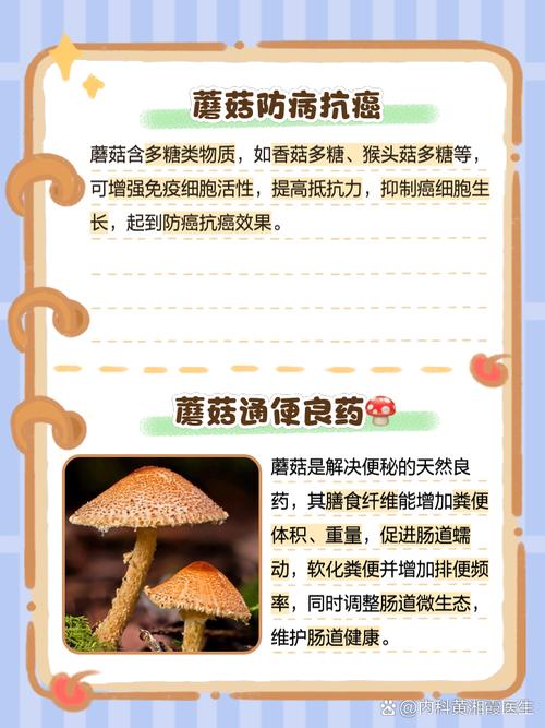 常吃蘑菇真的能帮助我有效减肥吗？