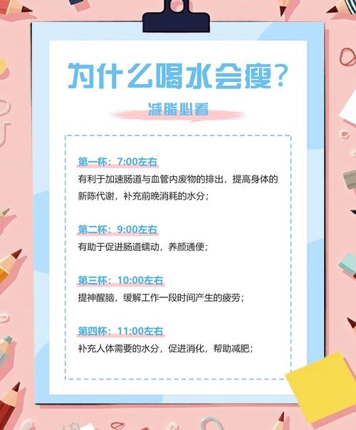 一天分时段科学饮水，如何助我快速减肥呢？