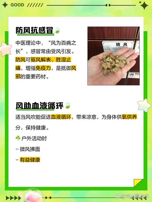 为什么越重的人在大风中反而感觉更凉爽呢？