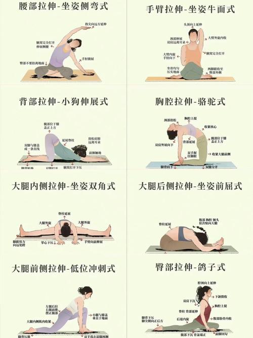 如何同过有效伸展运动让身体柔软且不易发胖？