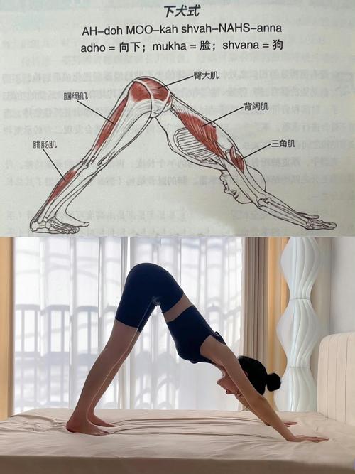 如何通过练习九式瑜伽打造最完美的背部曲线？