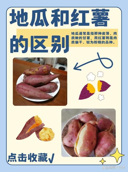 为什么胖人应该多吃土豆和红薯呢？