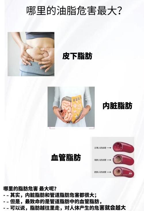 脂肪对健康有哪些利弊？