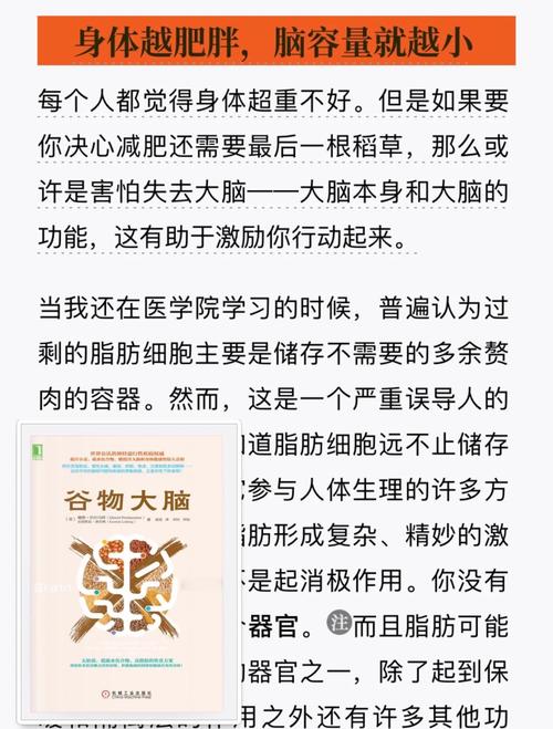 脂肪对大脑如此重要，它真的能让头脑更高效吗？