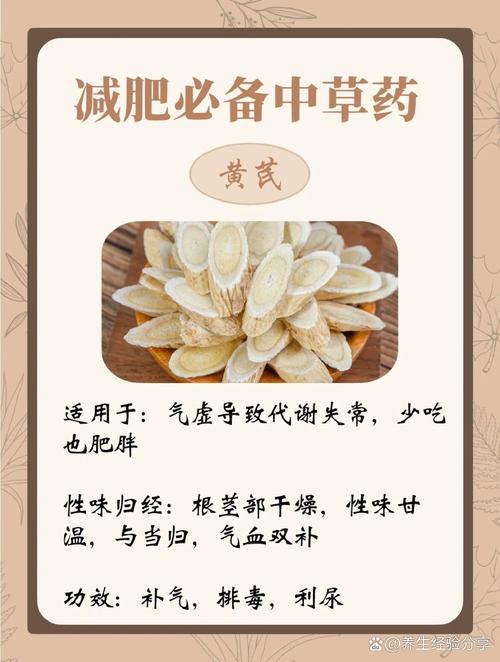 哪些中草药可以用来有效预防肥胖呢？