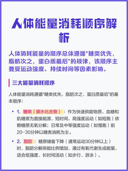 人体在哪些具体生理活动中，能量是如何被消耗和转化的？
